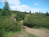 Tout est vert, juillet